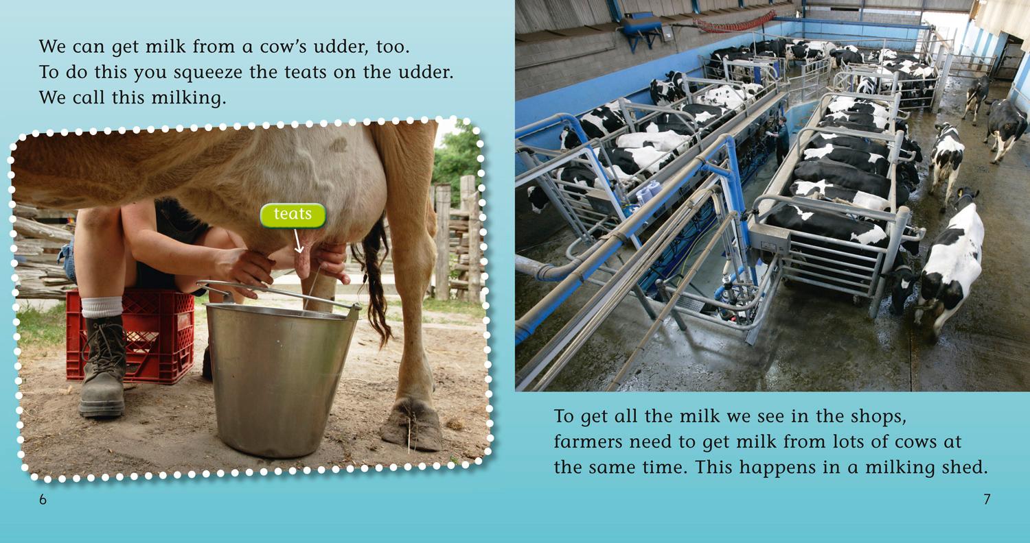 Beispielinhalt (Bild) From Cow to Carton