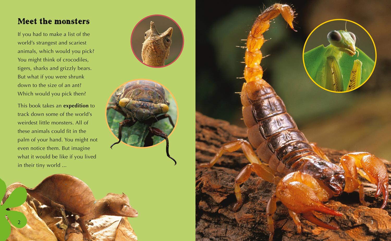 Beispielinhalt (Bild) Weird Little Monsters