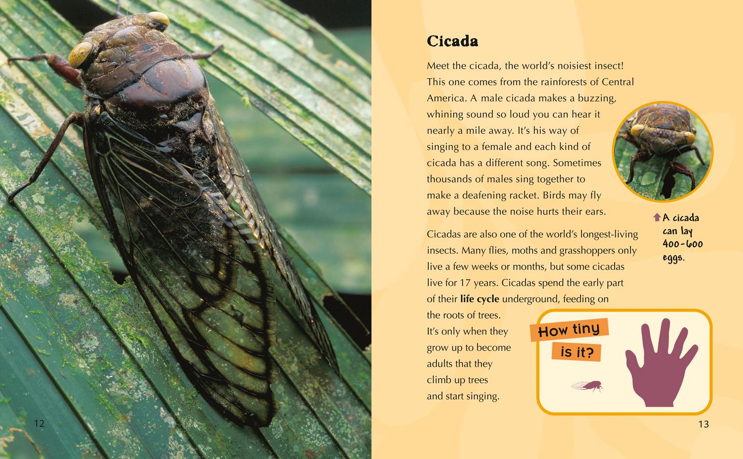 Beispielinhalt (Bild) Weird Little Monsters