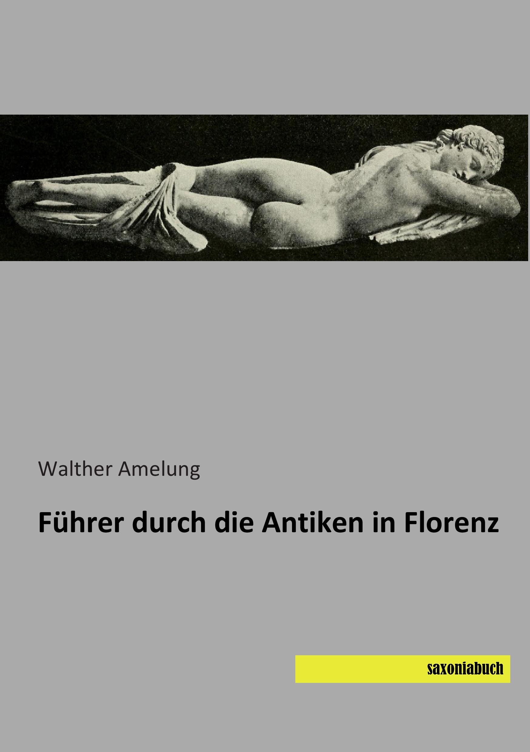 Vorderes Coverbild Führer durch die Antiken in Florenz