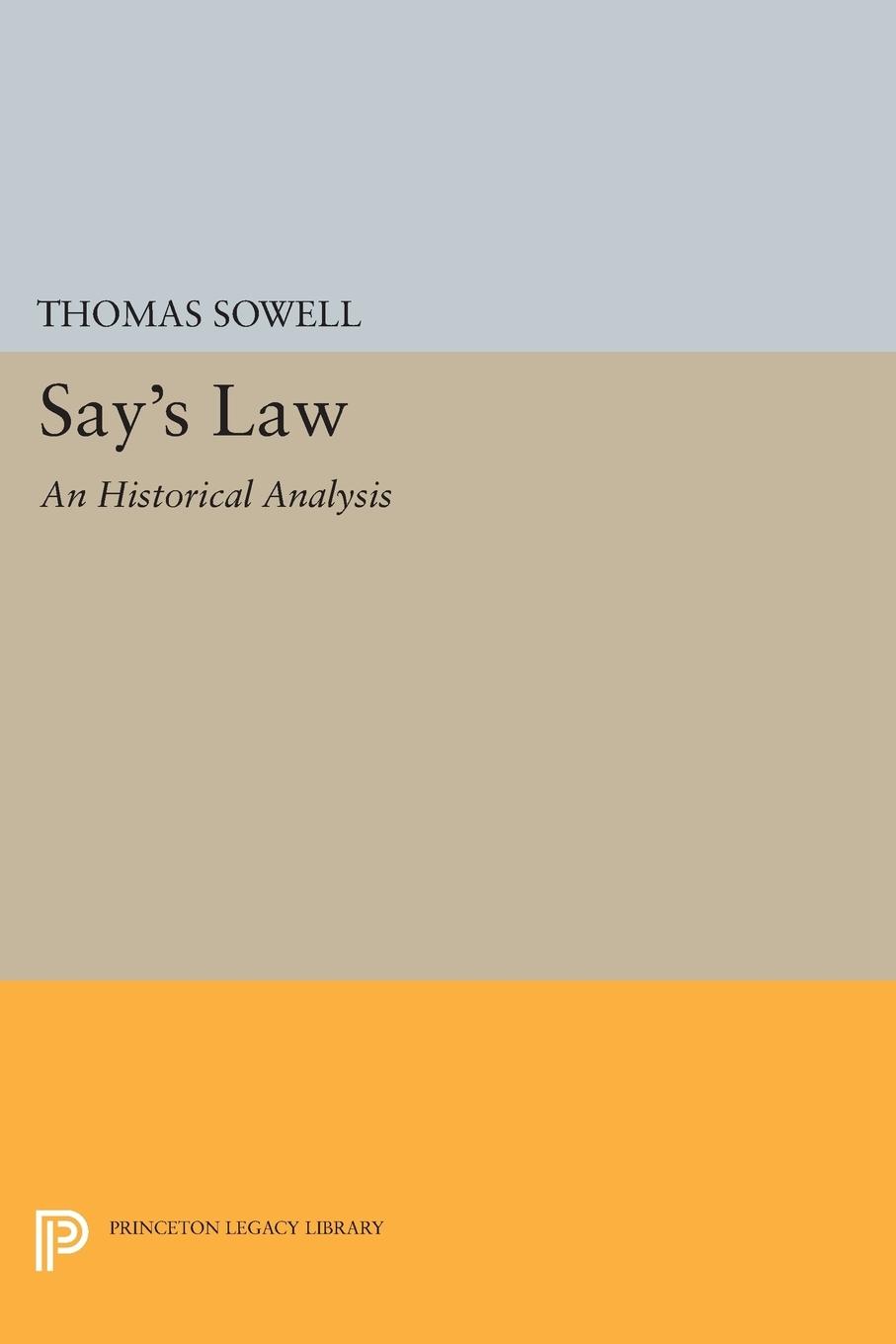Vorderes Coverbild Say's Law