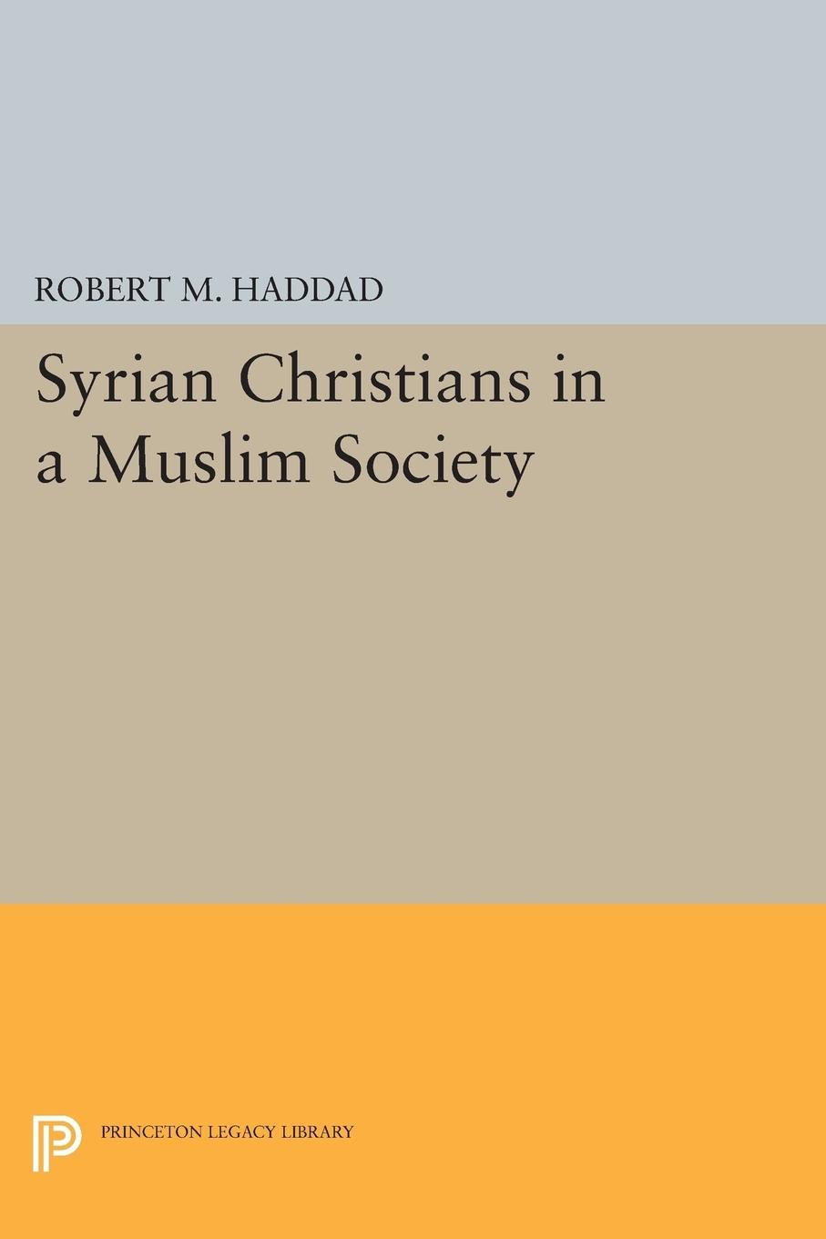 Vorderes Coverbild Syrian Christians in a Muslim Society