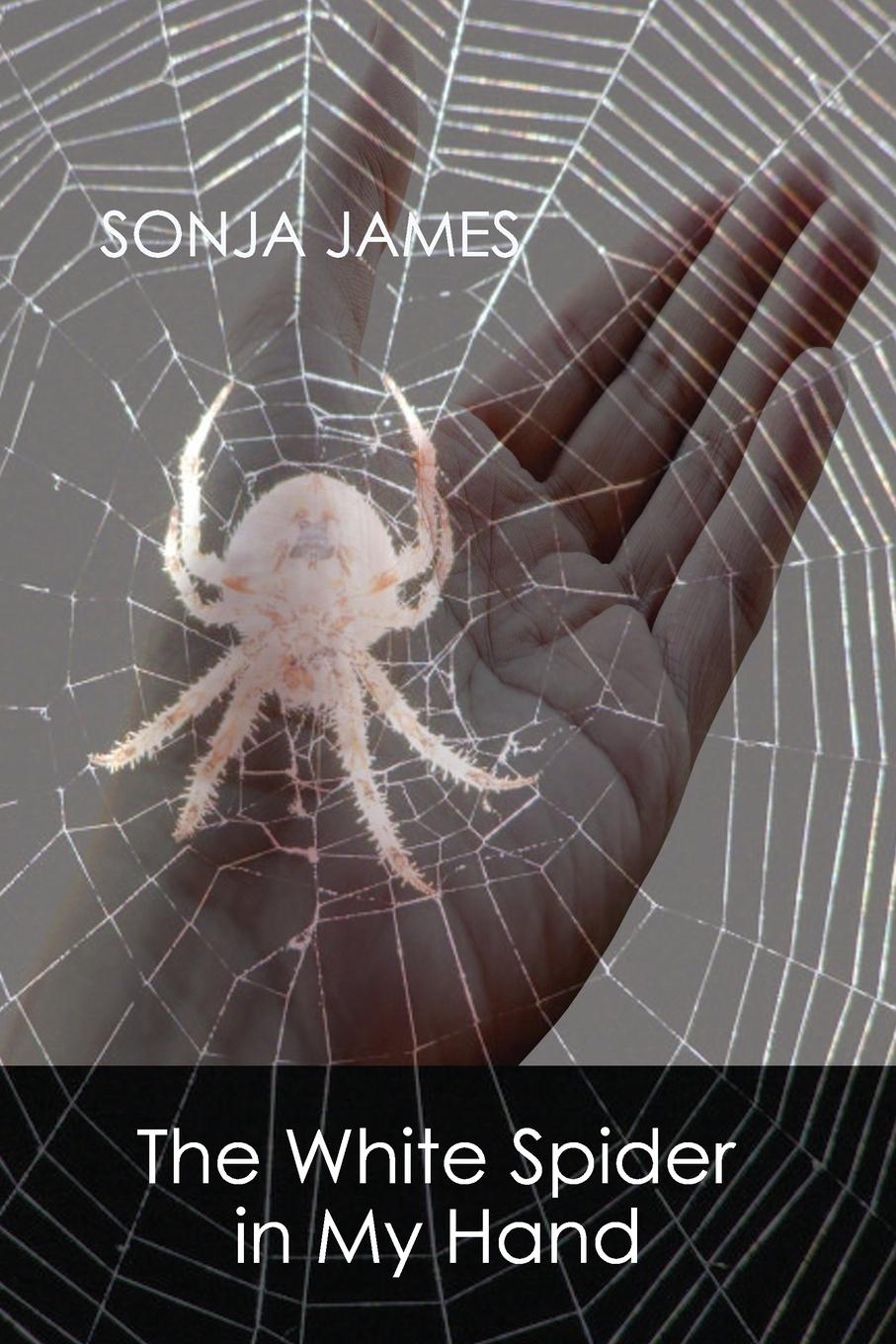 Vorderes Coverbild THE WHITE SPIDER IN MY HAND