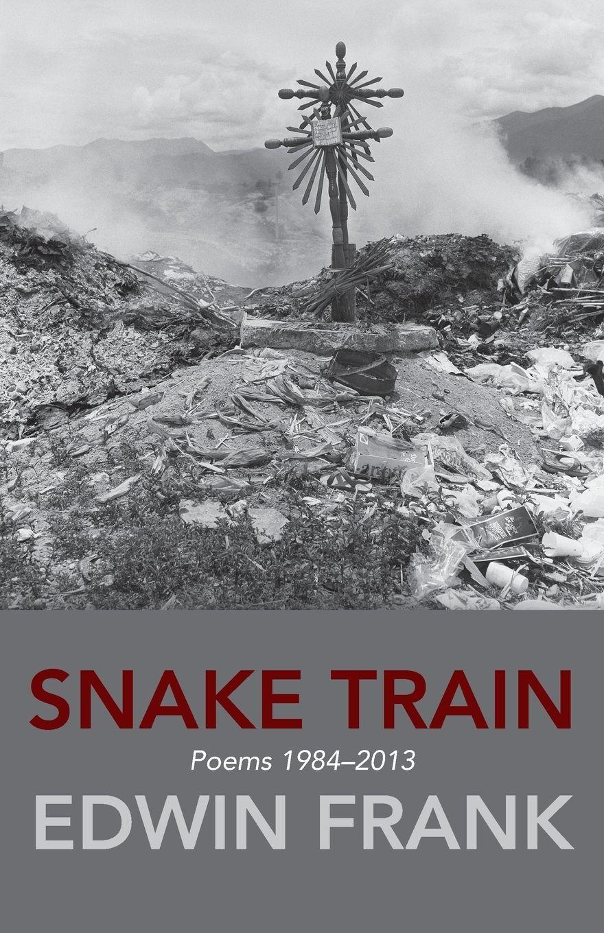Vorderes Coverbild Snake Train