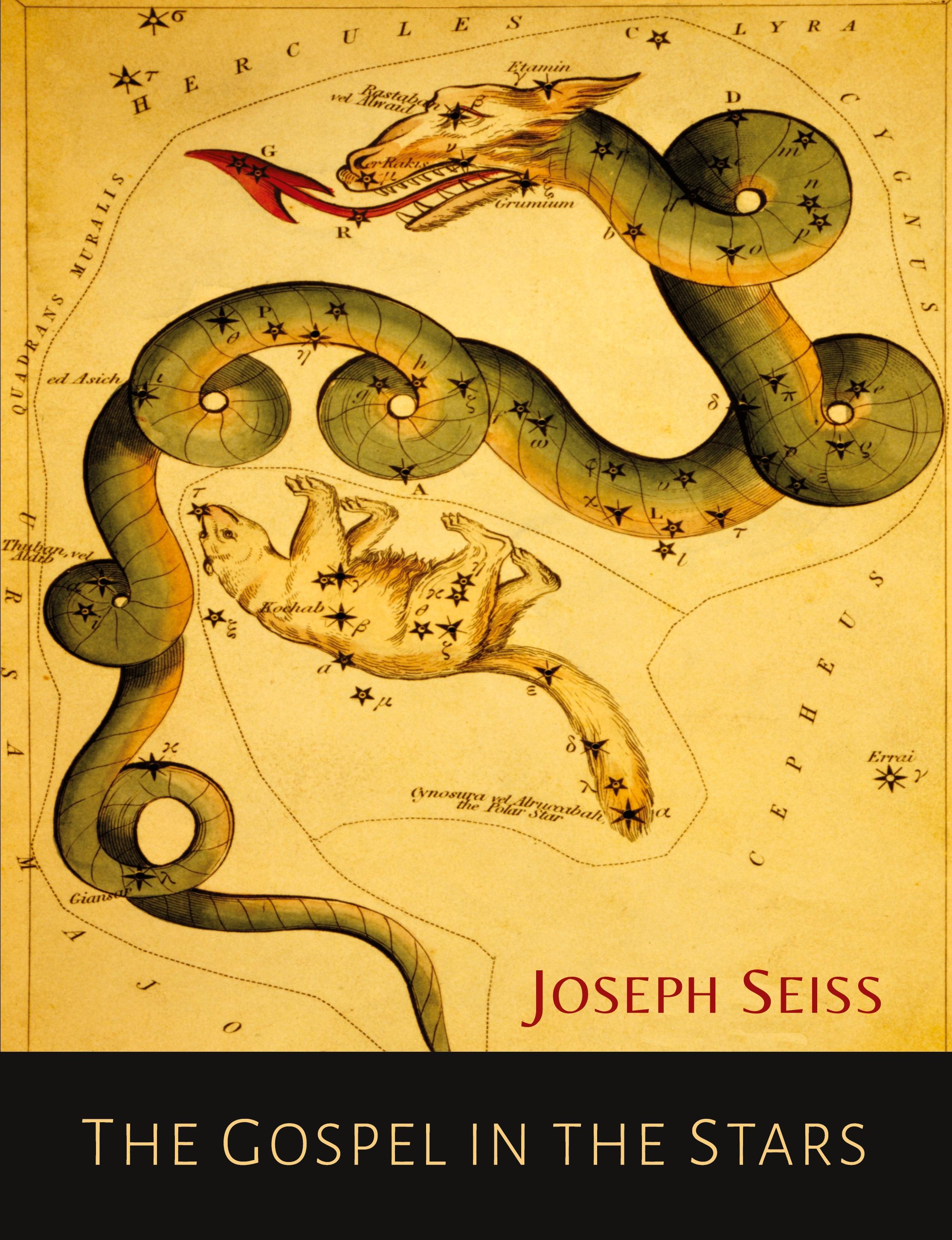 Vorderes Coverbild The Gospel in the Stars