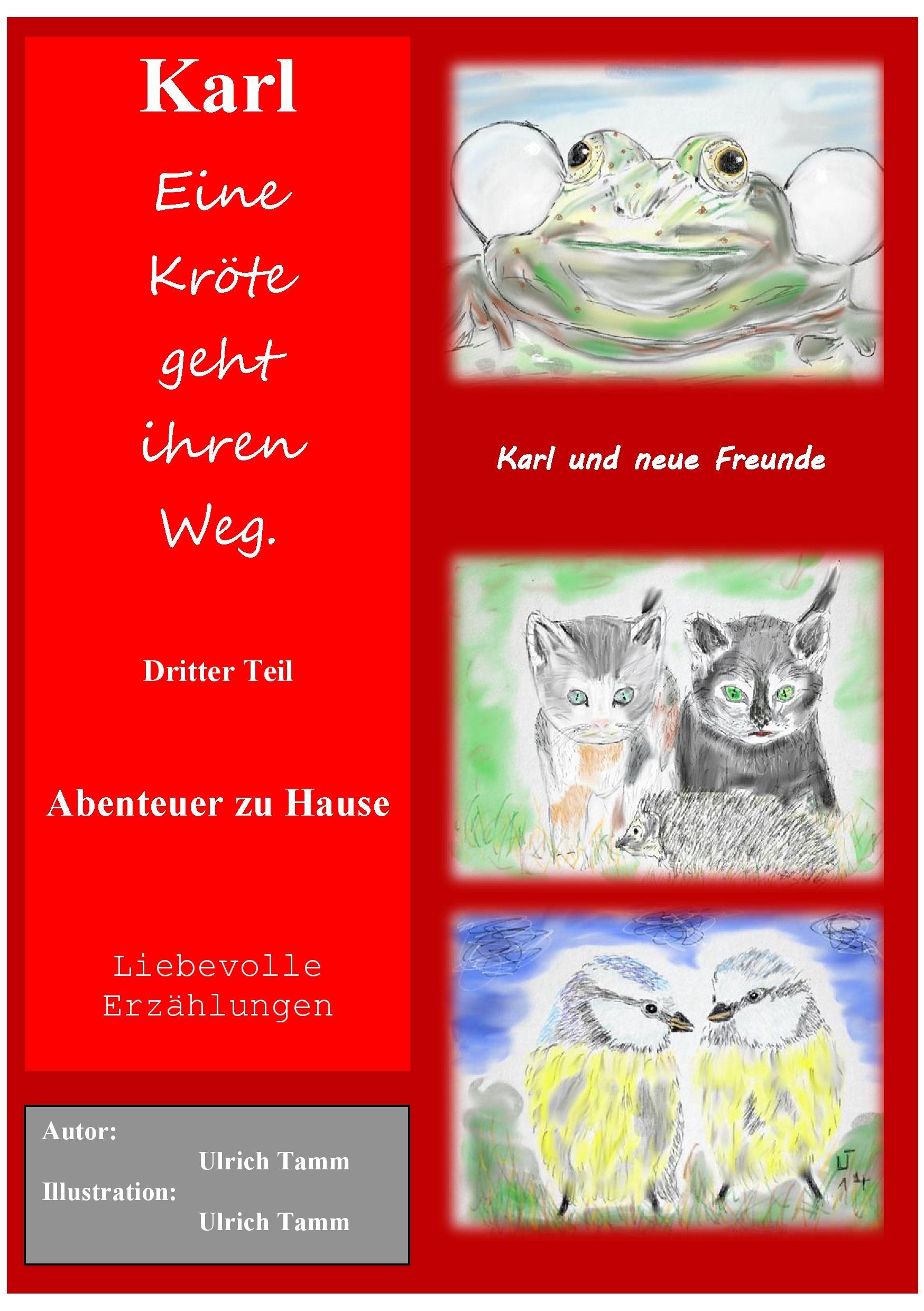 Vorderes Coverbild Karl, eine Kröte geht ihren Weg. Abenteuer zu Hause - Dritter Teil