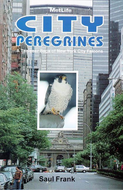 Vorderes Coverbild City Peregrines