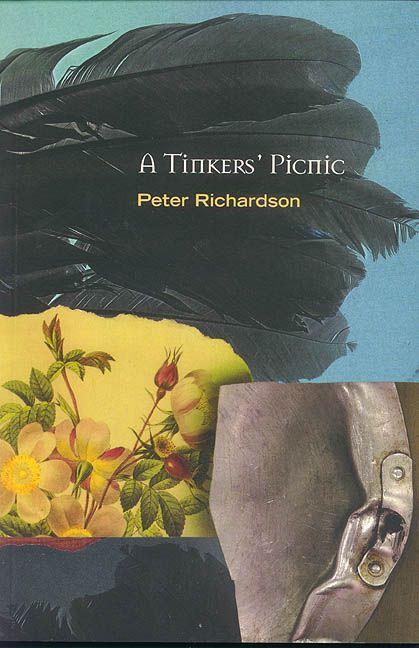Vorderes Coverbild A Tinker's Picnic