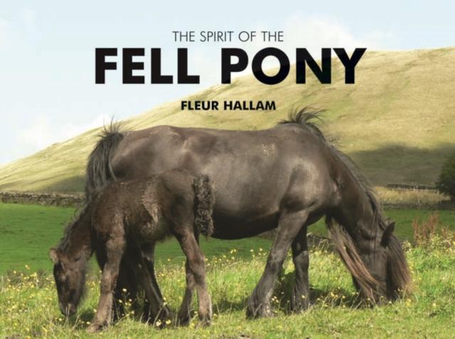 Vorderes Coverbild The Spirit of the Fell Pony