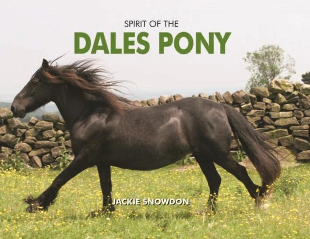 Vorderes Coverbild Spirit of the Dales Pony