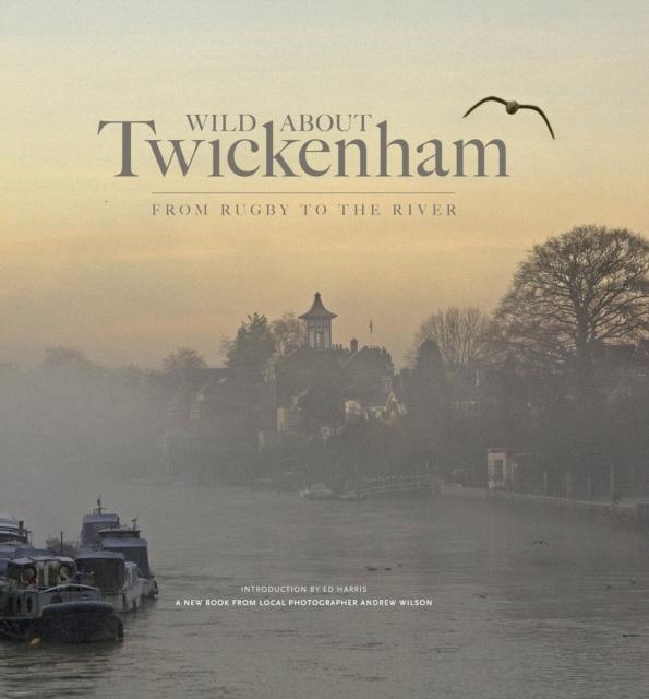 Vorderes Coverbild Wild About Twickenham