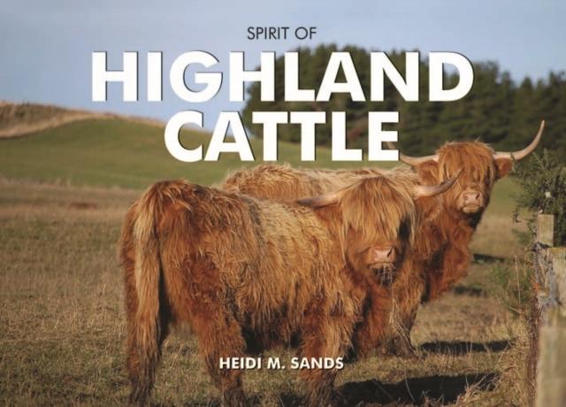 Vorderes Coverbild Spirit of Highland Cattle