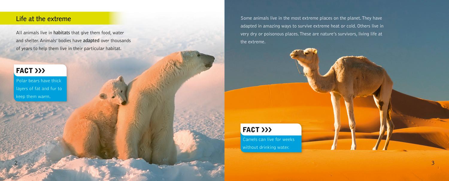 Beispielinhalt (Bild) Extreme Animals