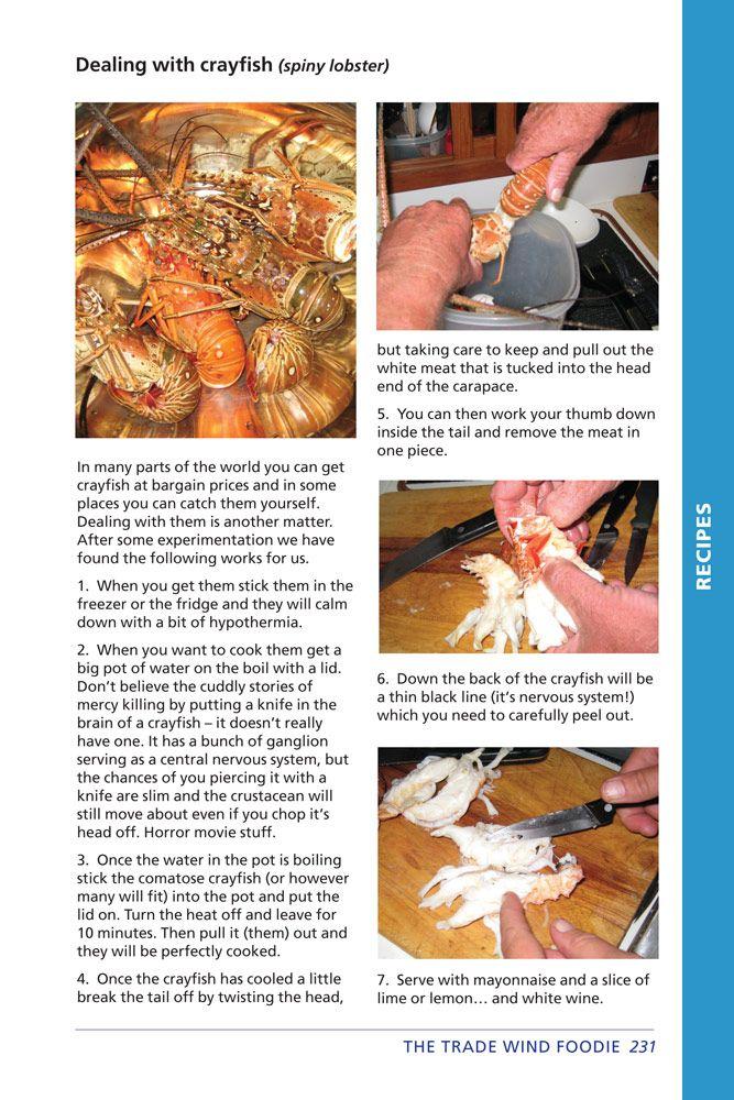 Beispielinhalt (Bild) The Trade Wind Foodie