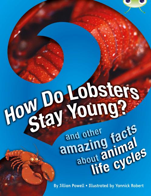 Vorderes Coverbild Bug Club Independent Non Fiction Year 3 Brown A How Do Lobsters Stay Young?