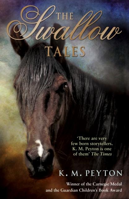 Vorderes Coverbild The Swallow Tales