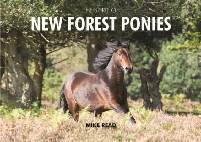 Vorderes Coverbild The Spirit of New Forest Ponies
