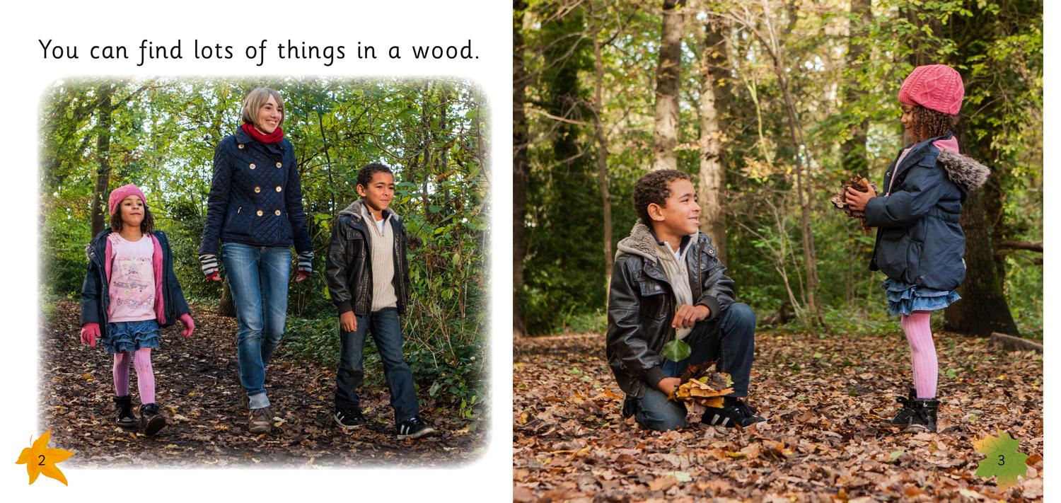 Beispielinhalt (Bild) Art in the Woods