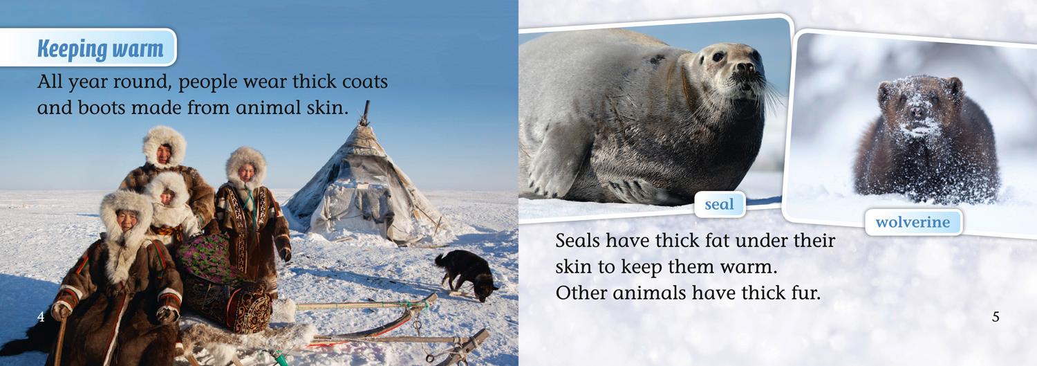 Beispielinhalt (Bild) Arctic Life