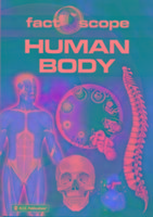 Vorderes Coverbild Factoscope - Human Body