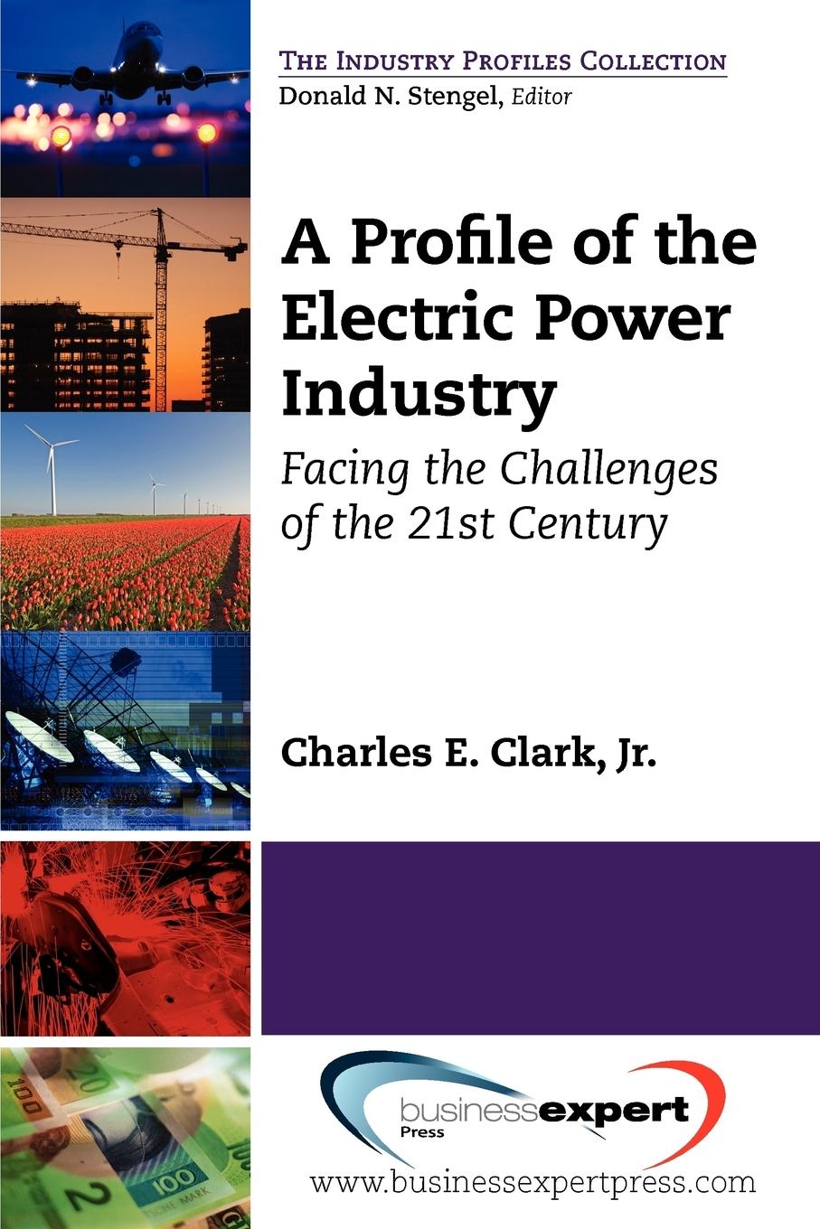 Vorderes Coverbild A Profile of the Electric Power Industry