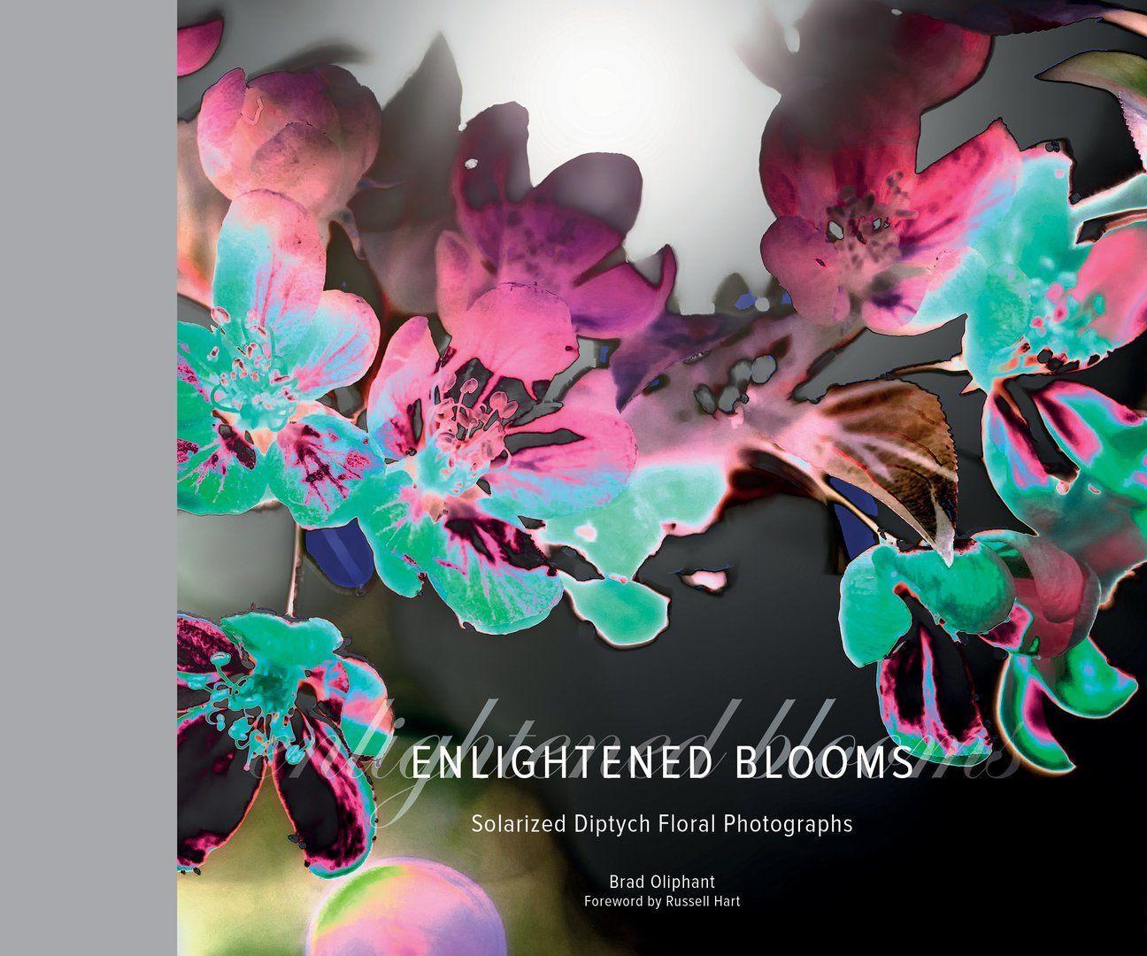 Vorderes Coverbild Enlightened Blooms: Solarized Diptych Floral Photographs