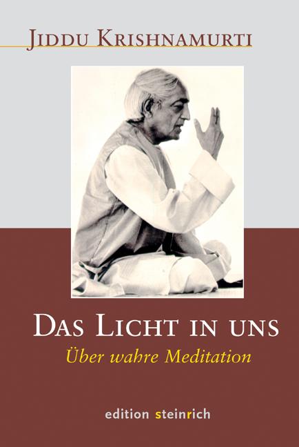 Vorderes Coverbild Das Licht in uns