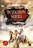 Vorderes Coverbild Bozkirin Sirri