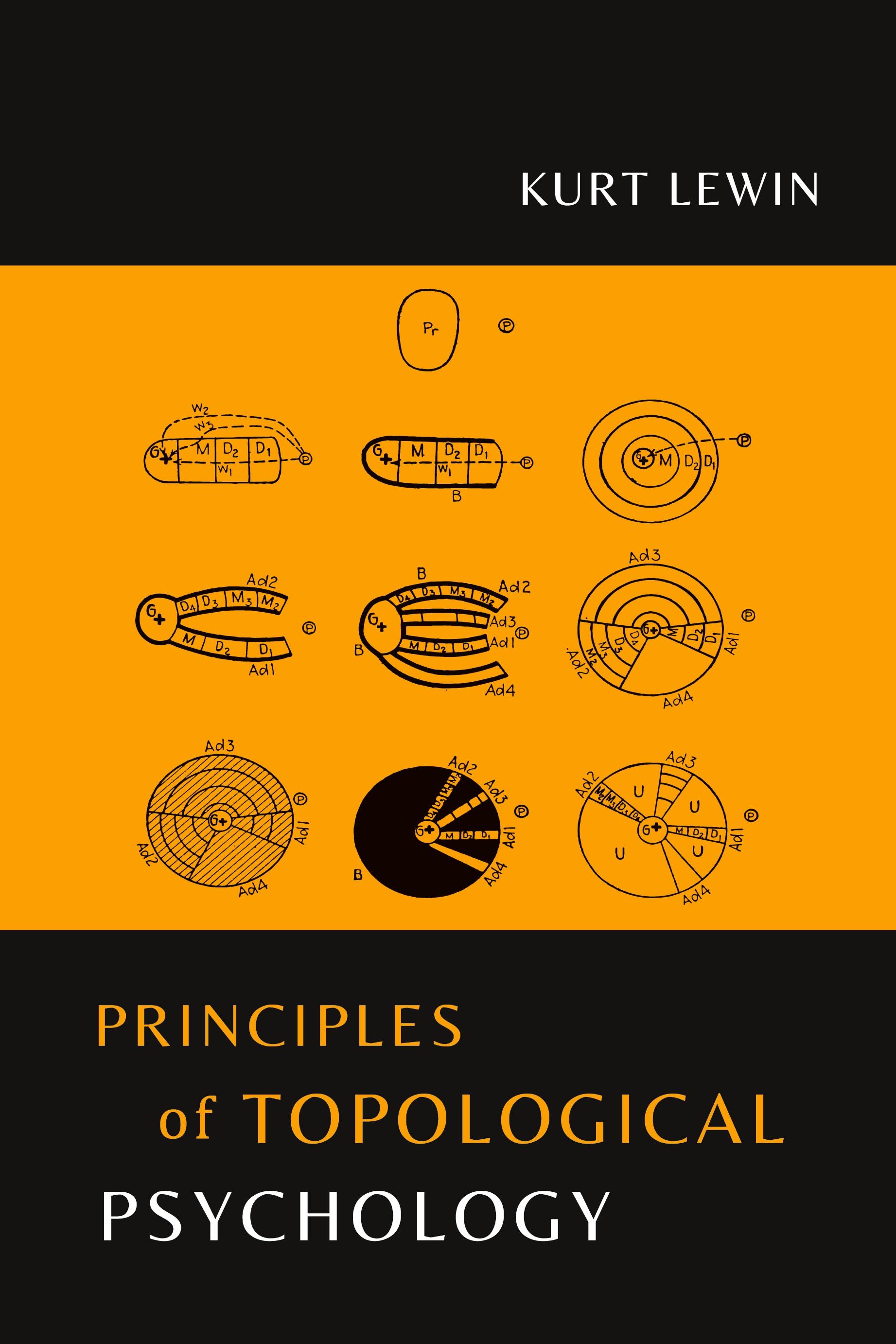 Vorderes Coverbild Principles of Topological Psychology