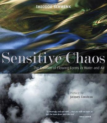Vorderes Coverbild Sensitive Chaos