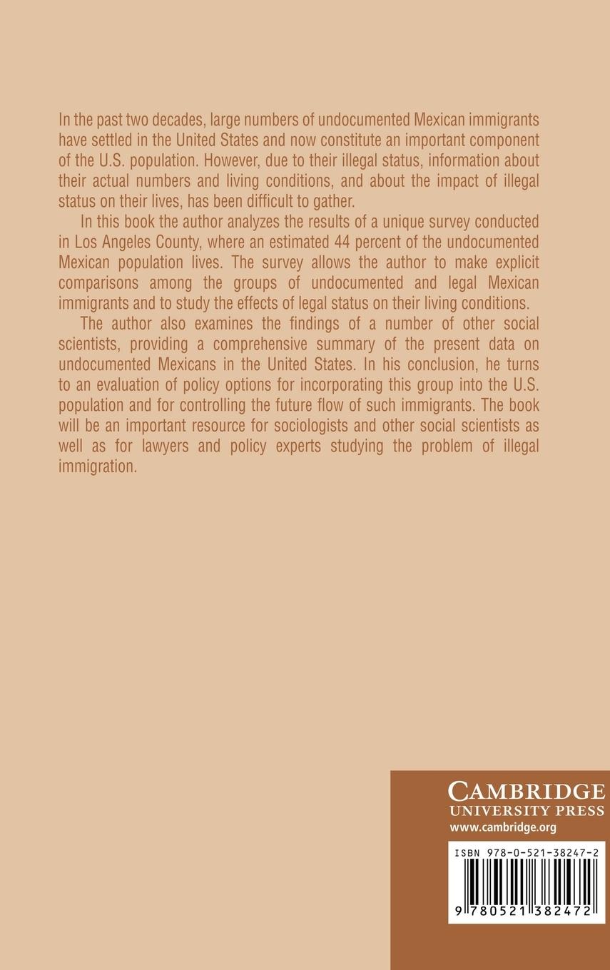Rückseitencover Undocumented Mexicans in the USA