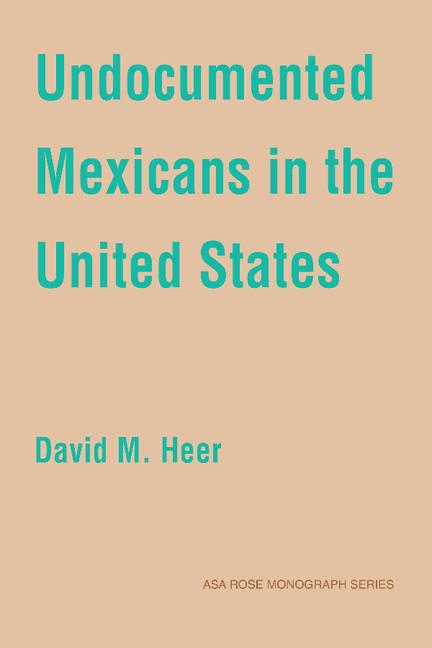 Vorderes Coverbild Undocumented Mexicans in the USA