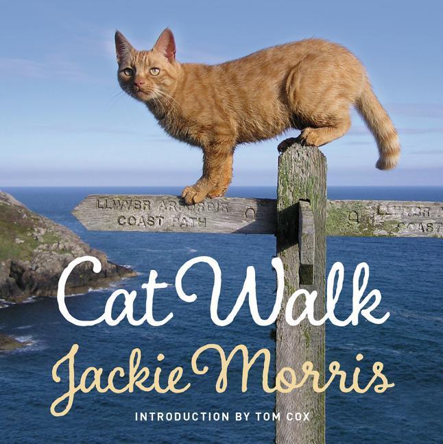 Vorderes Coverbild Cat Walk