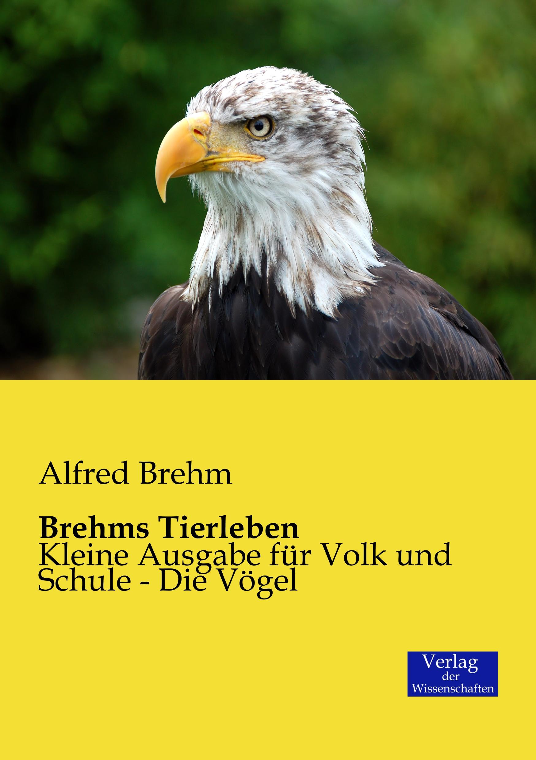 Vorderes Coverbild Brehms Tierleben