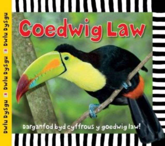 Vorderes Coverbild Cyfres Dwlu Dysgu: Coedwig Law