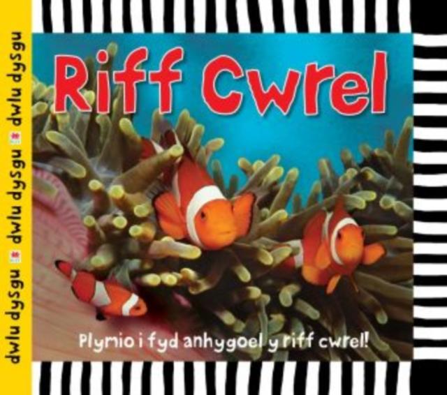 Vorderes Coverbild Cyfres Dwlu Dysgu: Riff Cwrel