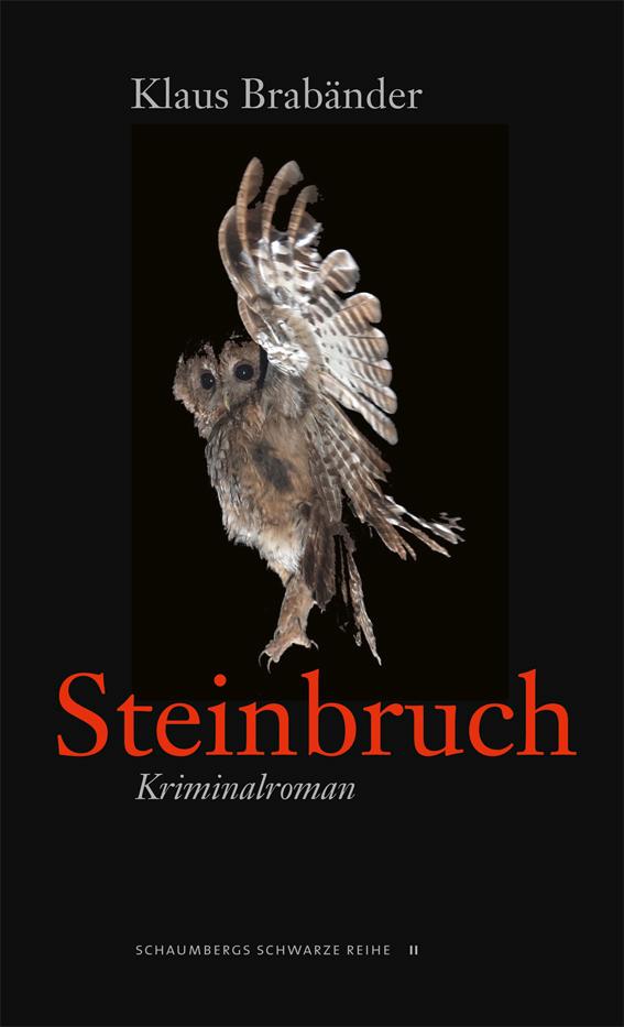 Vorderes Coverbild Steinbruch