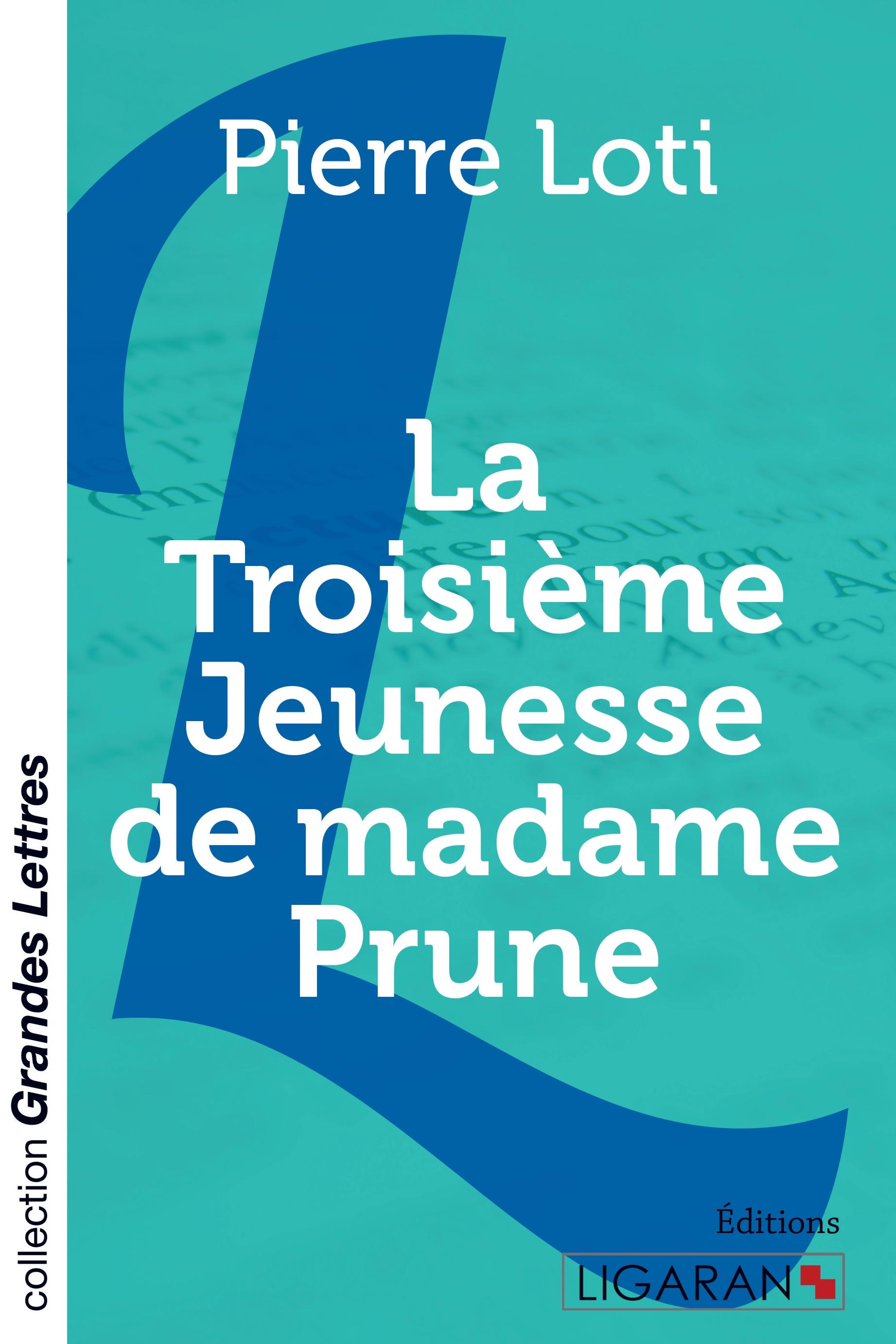 Vorderes Coverbild La troisième jeunesse de madame Prune (grands caractères)