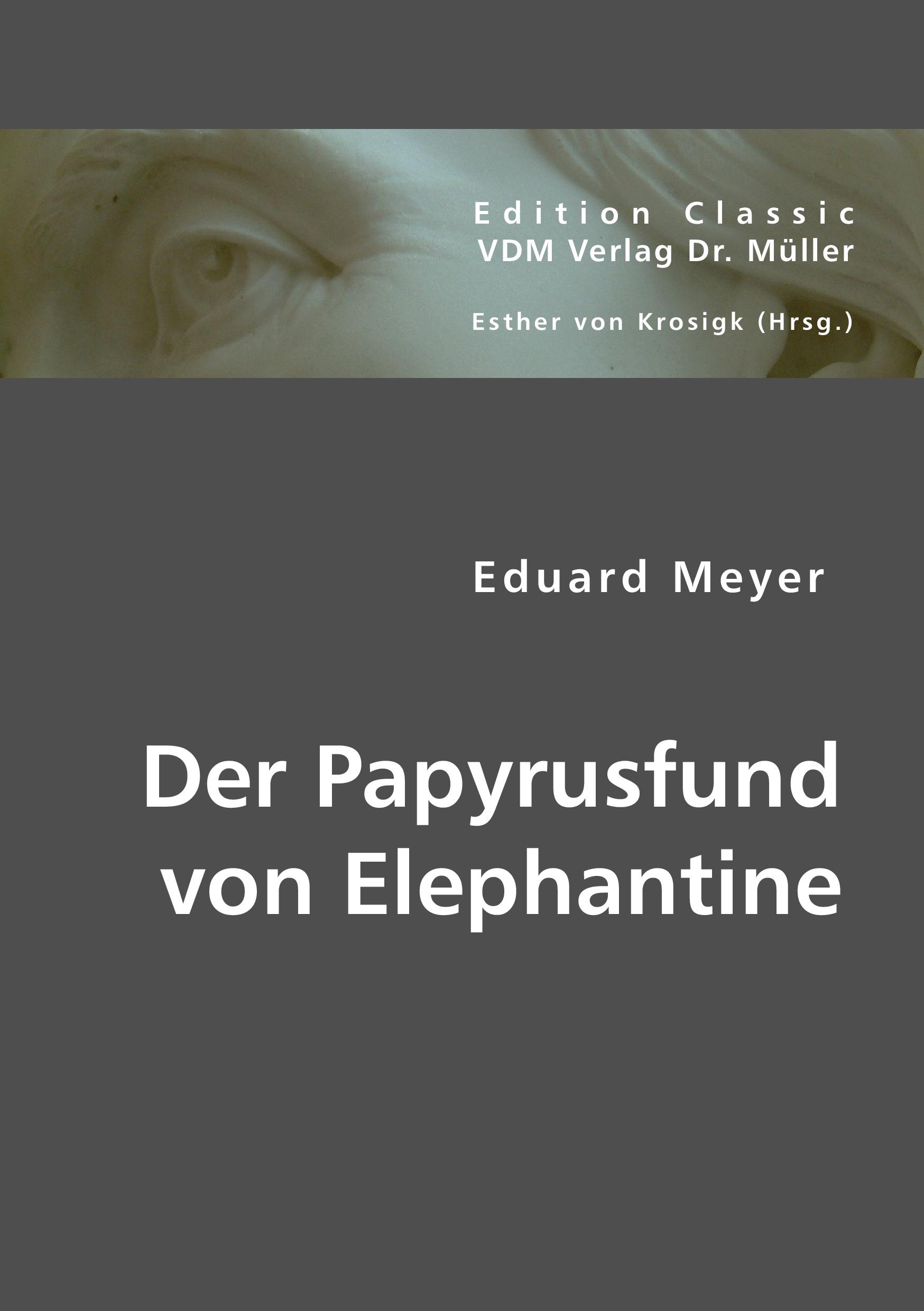 Vorderes Coverbild Der Papyrusfund von Elephantine