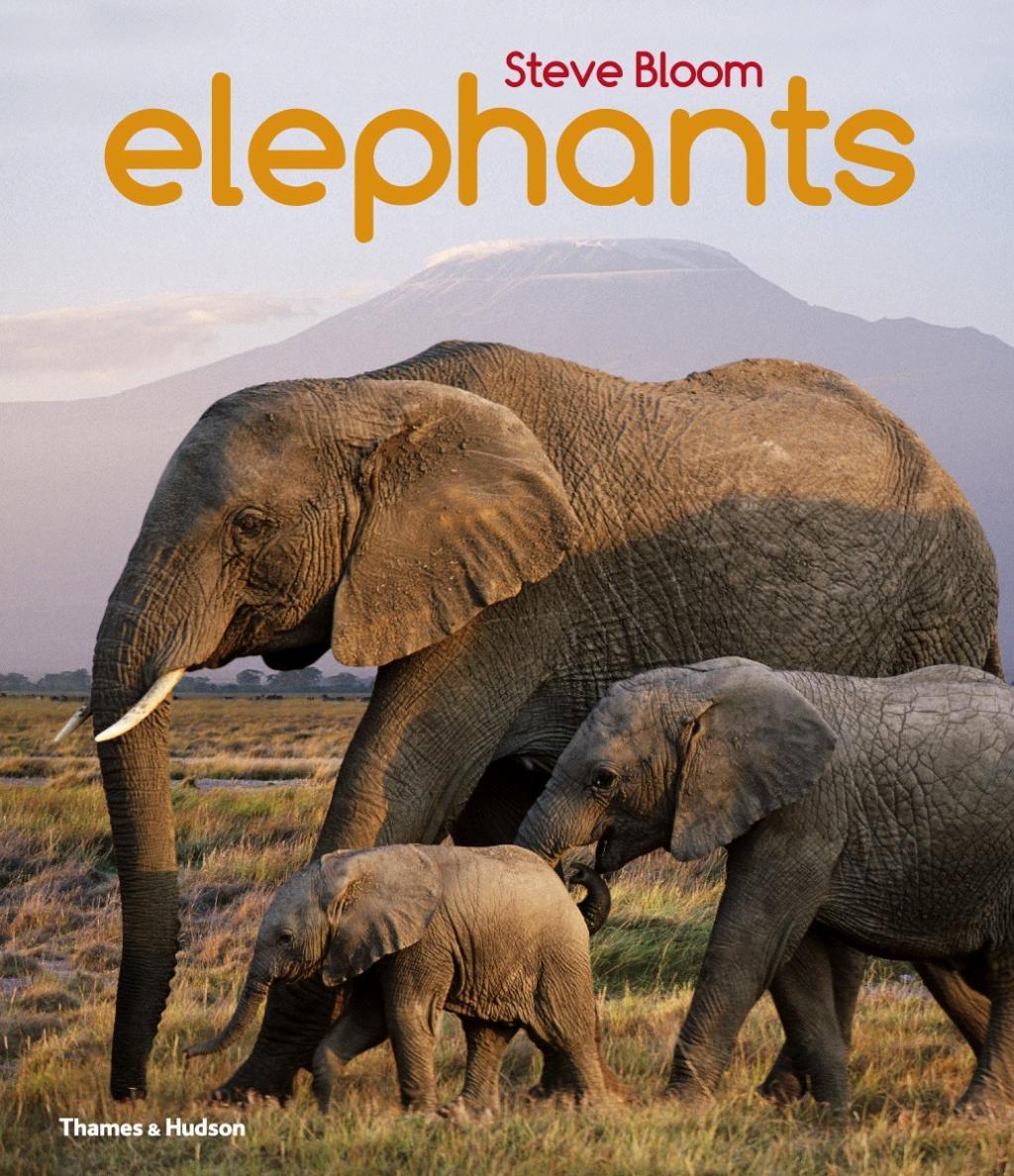 Vorderes Coverbild Elephants