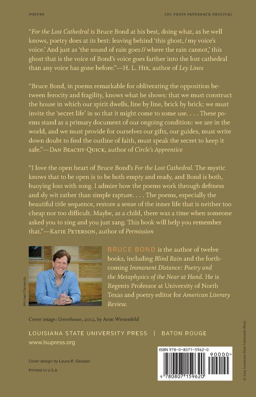 Rückseitencover For the Lost Cathedral