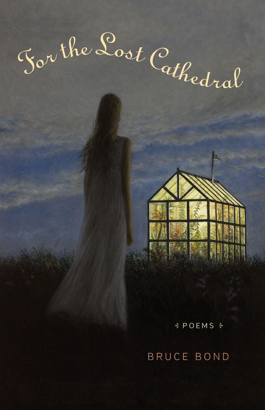 Vorderes Coverbild For the Lost Cathedral