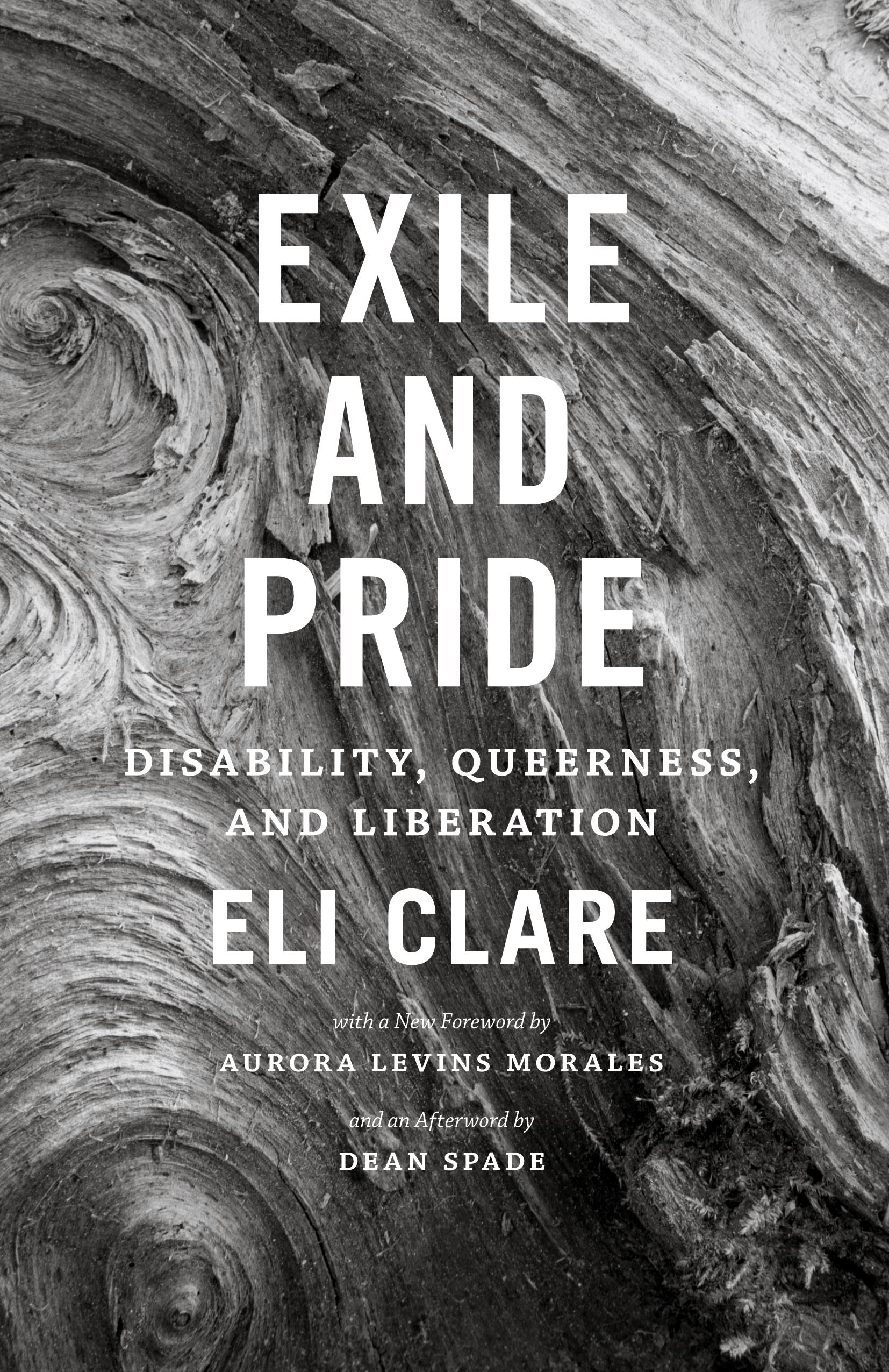 Vorderes Coverbild Exile and Pride