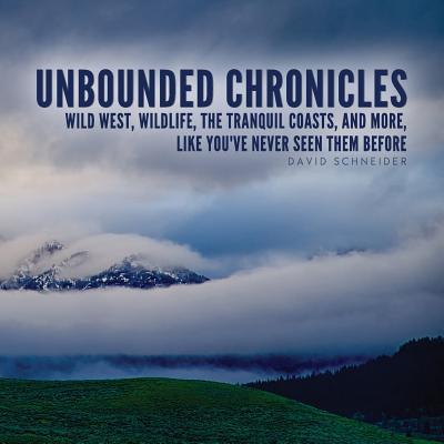 Vorderes Coverbild Unbounded Chronicles