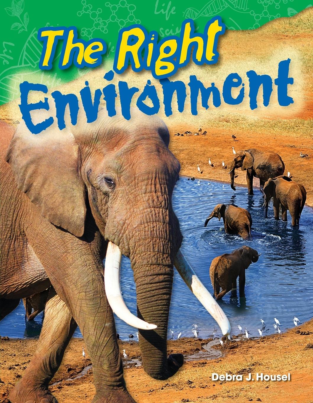 Vorderes Coverbild The Right Environment