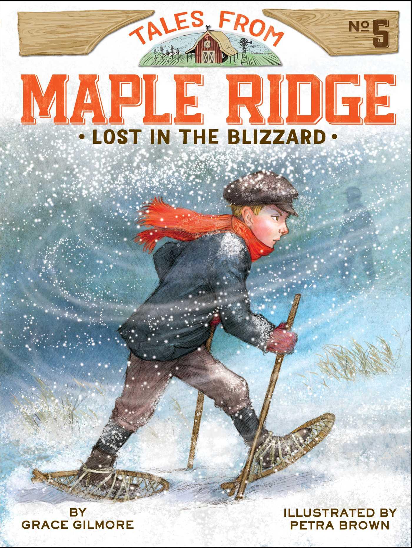 Vorderes Coverbild Lost in the Blizzard