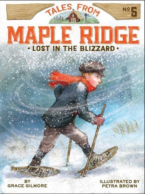 Vorderes Coverbild Lost in the Blizzard