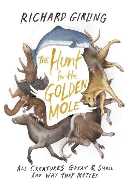 Vorderes Coverbild The Hunt for the Golden Mole