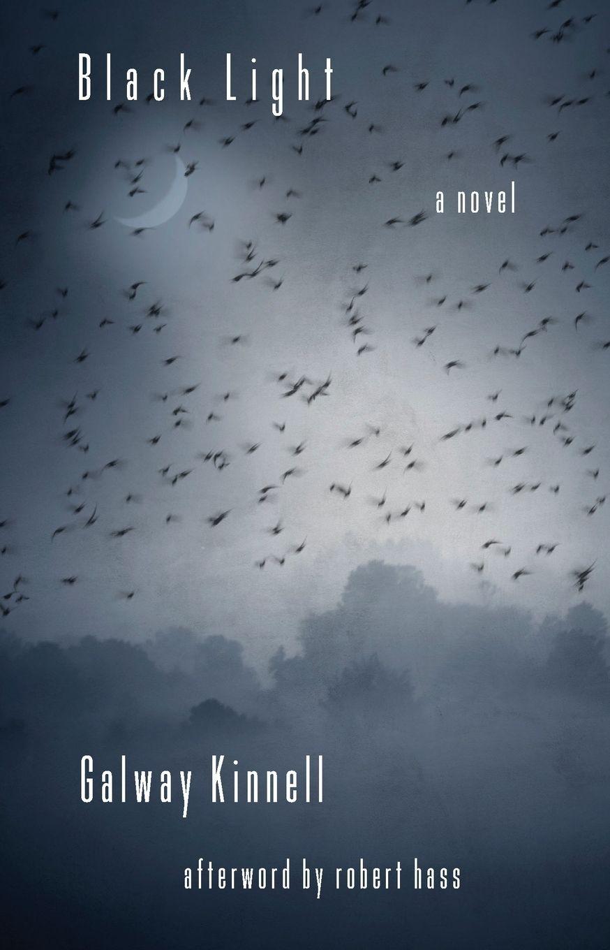 Vorderes Coverbild Black Light