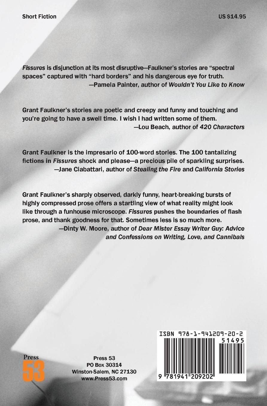 Rückseitencover Fissures